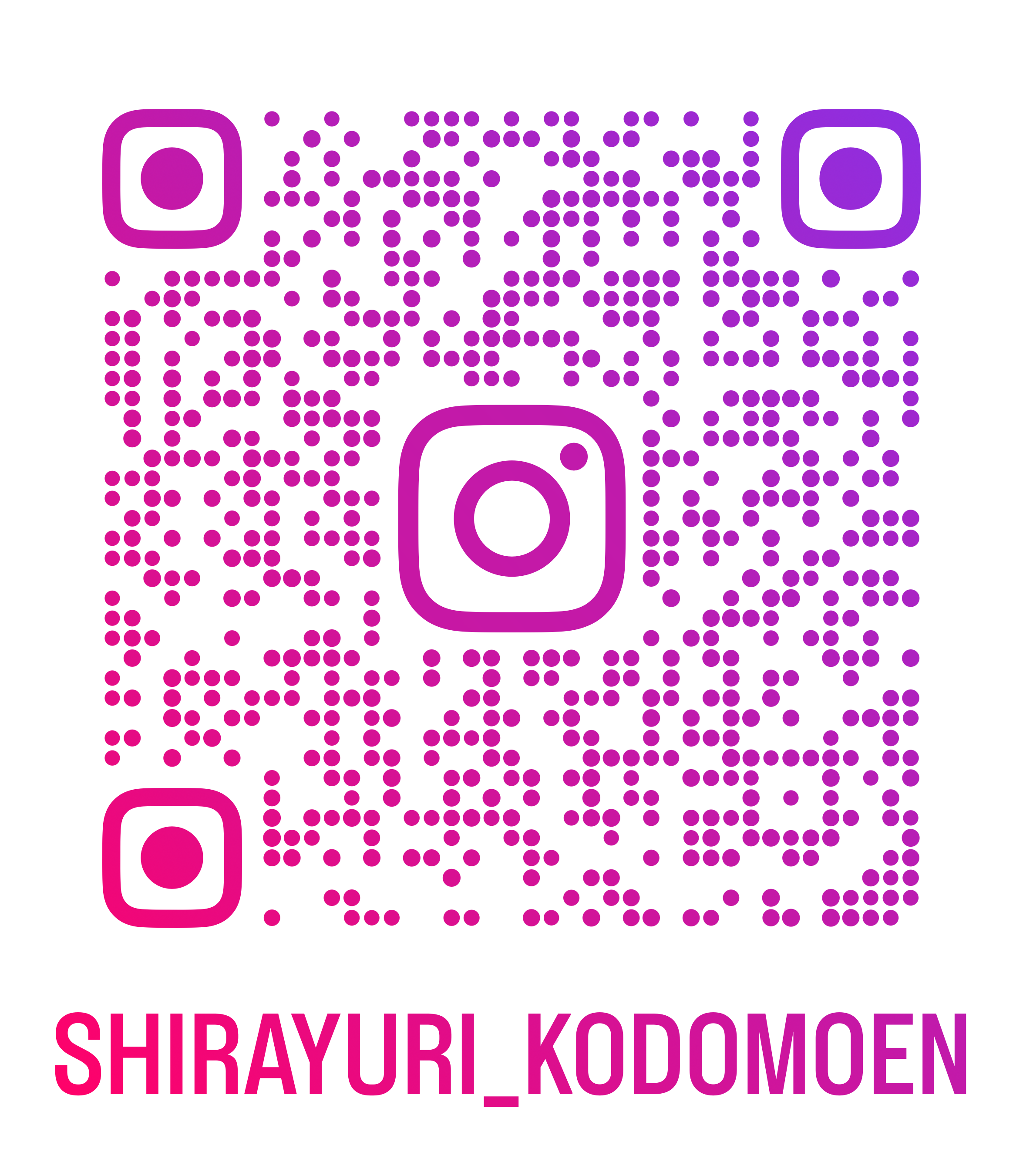 Instagram QR
