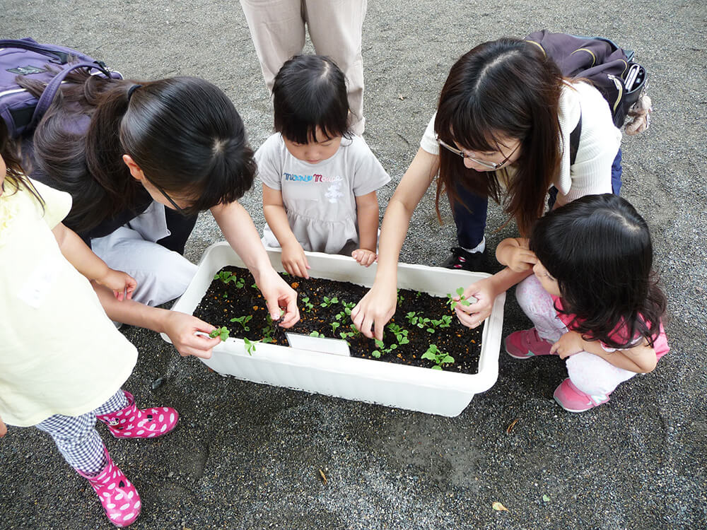 苗を植える子どもたち